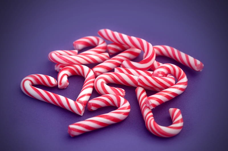 Candy Cane love, sweet, holiday, sugar, zcane18, zchristmas18, HD wallpaper