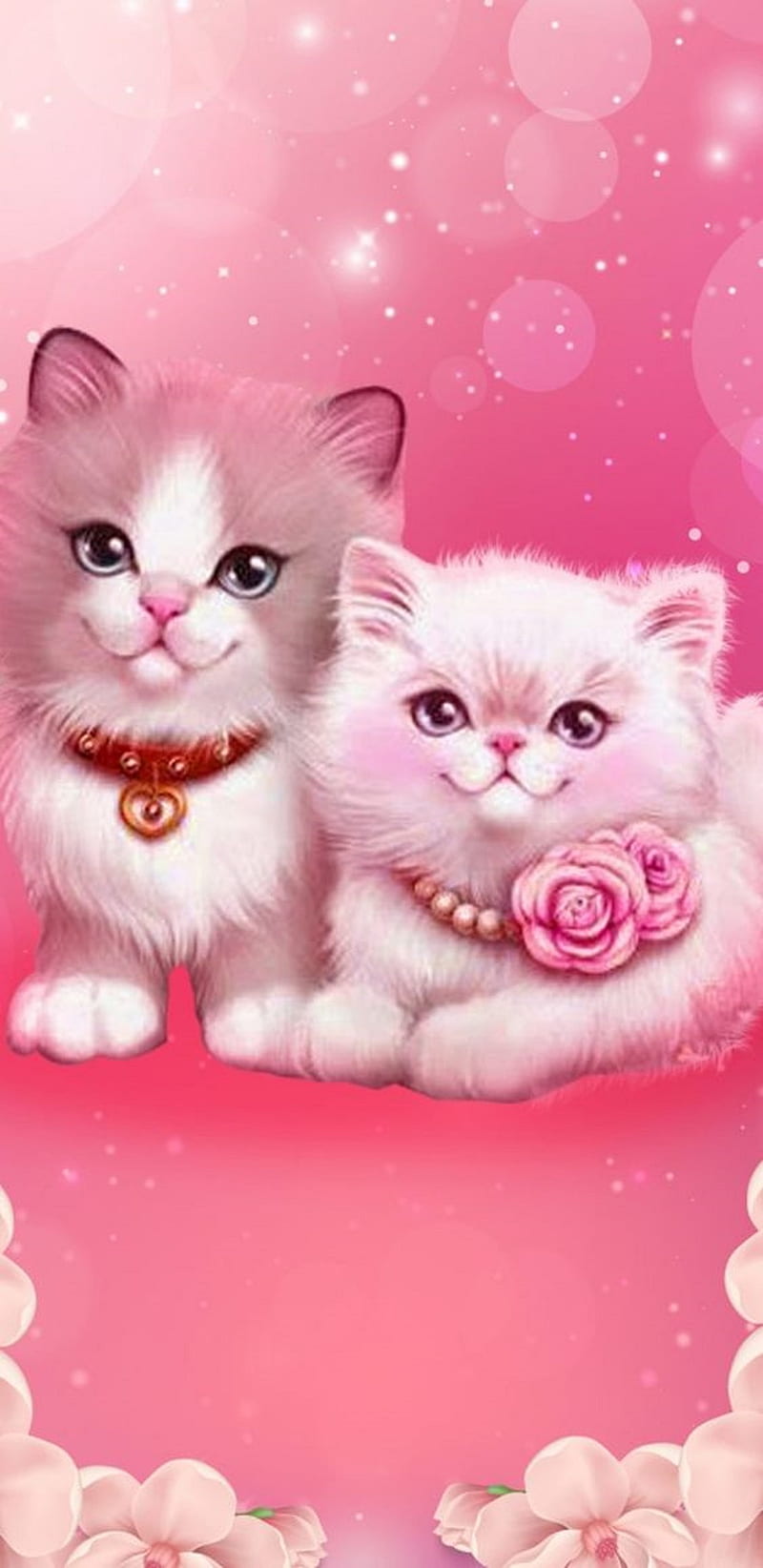 Cats pets cute. Papel de parede kawaii, bonitos, Papeis de parede kawaii,  Cute Cat Aesthetic HD phone wallpaper