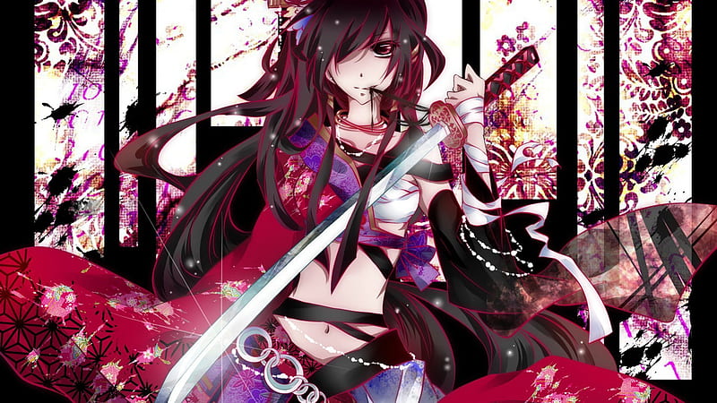 anime assassin girl wallpaper
