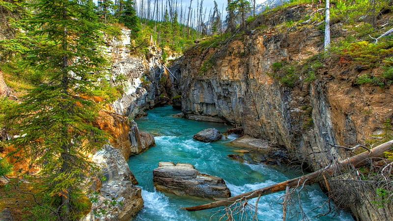 Kootenay National Park, Canada, turquoise water, river, bonito, trees, canyon, HD wallpaper