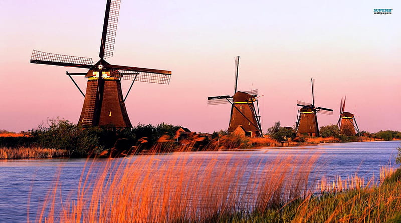 windmills at home, south holland, in, windmills, kinderdijk, netherland, HD wallpaper