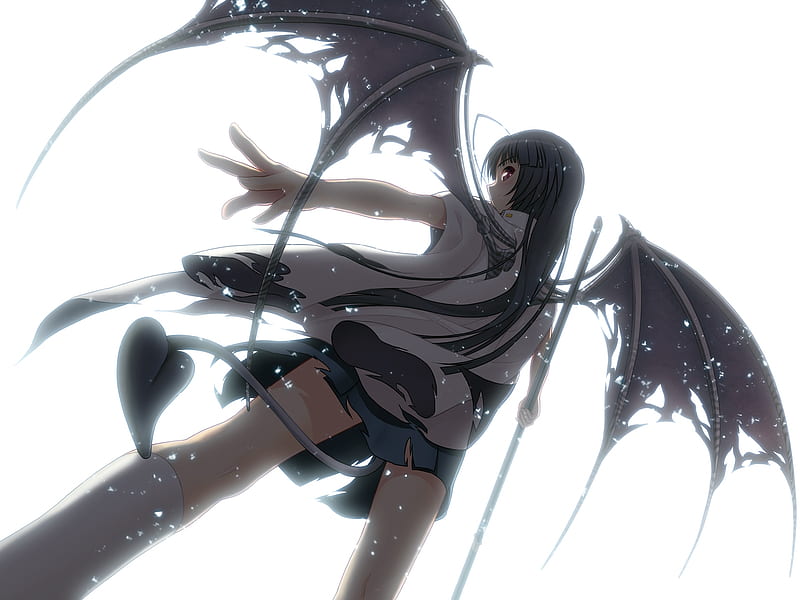 Oiki Kiki, female, wings, anime, tail, devil, HD wallpaper | Peakpx