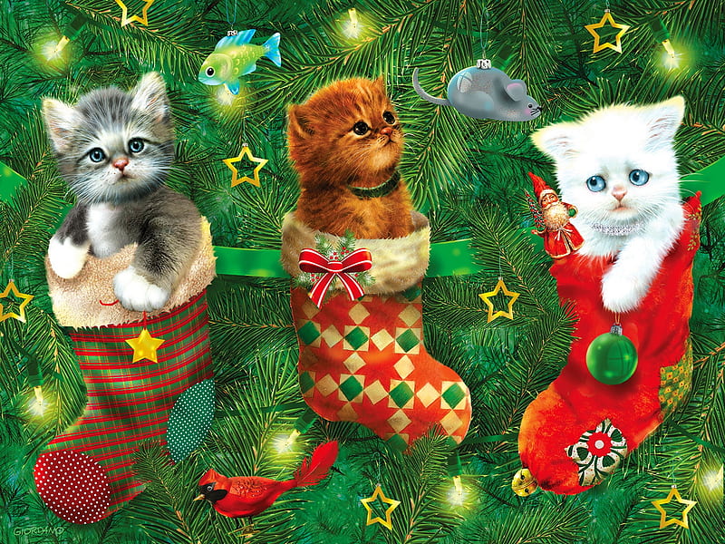 Stockings full of kittens, tree, holiday, christmas, kittens, toys, sweet, art, winter, cute, stocking, HD wallpaper