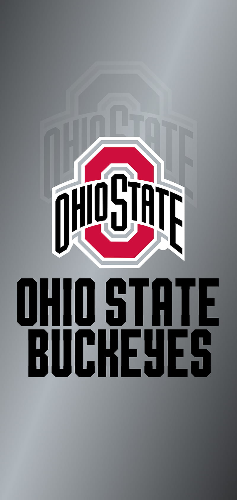 Ohio State Buckeyes, fortnite, ohio buckeye, ohio buckeyes, HD phone wallpaper