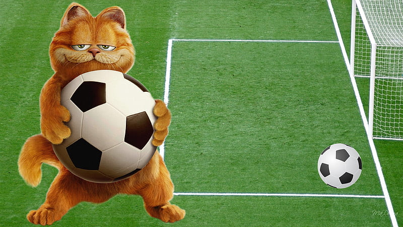 Garfield Plays Soccer, soccer, game, firefox persona, cat, cartoon, ball, sport, garfield, field, HD wallpaper