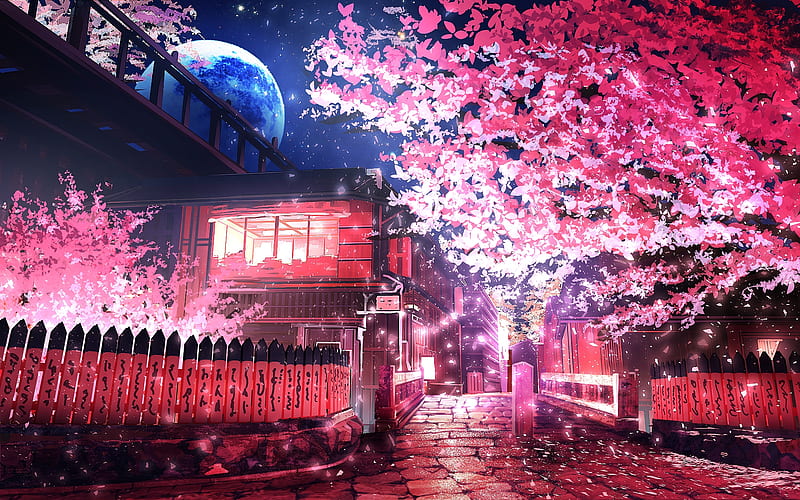 anime landscape, sakura blossom, night, petals, scenery, polychromatic, Anime, HD wallpaper