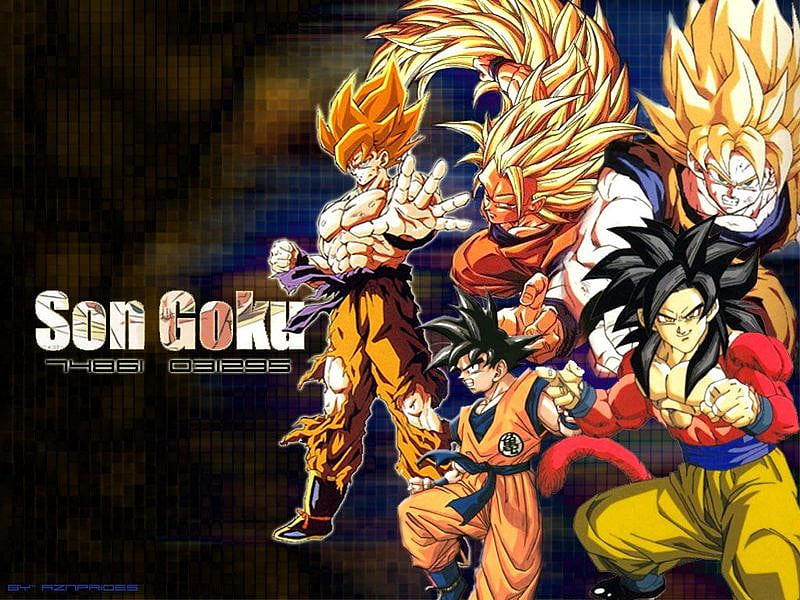 Goku the saiyan from Earth, ssj2, ssj4, ssj3, ssj, HD wallpaper