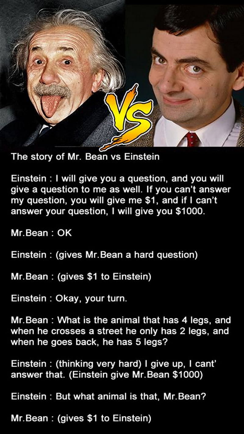 Mr Bean vs Einstein, joke, mr bean, story, HD phone wallpaper