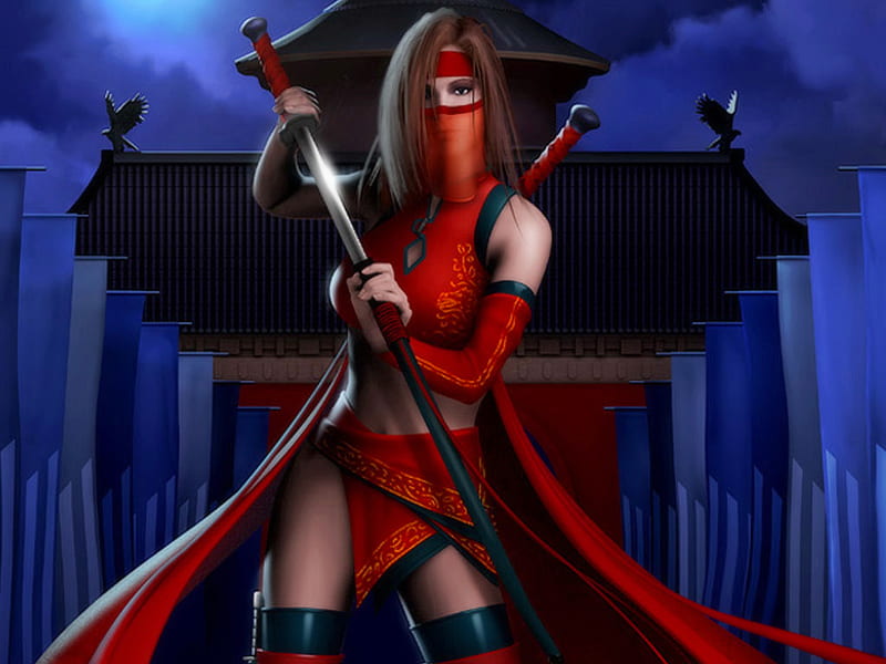Female Ninja 6 by pakastock on DeviantArt
