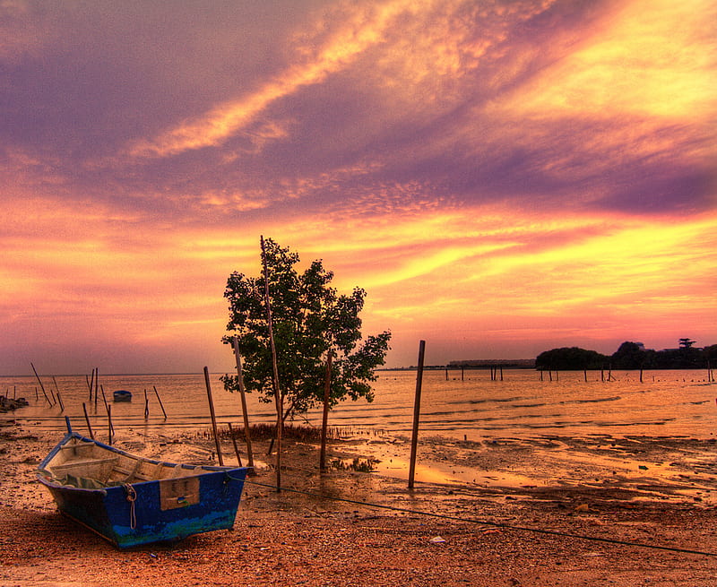 Overflow, background, silence, bonito, abstract, sky, tree, boat, water, purple, awesome, beauty, r, HD wallpaper
