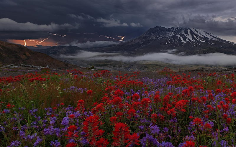 Apocalypse Now, red, green, mountains, flowers, electric storm, clouds, snowy peaks, fog, HD wallpaper