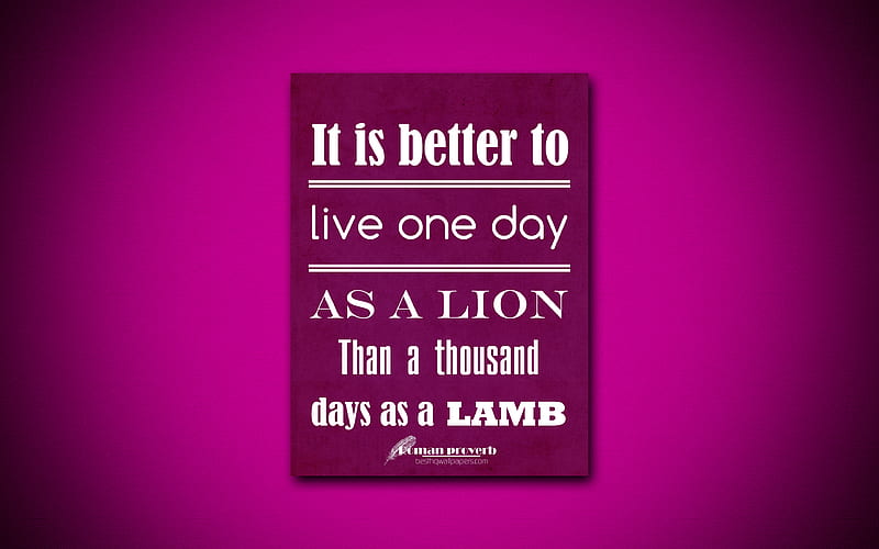 It is better to live one day as a lion Than a thousand days as a lamb, quotes about life, Roman proverb, purple paper, popular quotes, inspiration, Roman proverb quotes, HD wallpaper