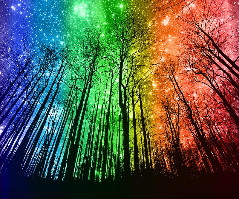 Rainbow Forest, dark, forest, night, rainbow, stars, trees, HD wallpaper