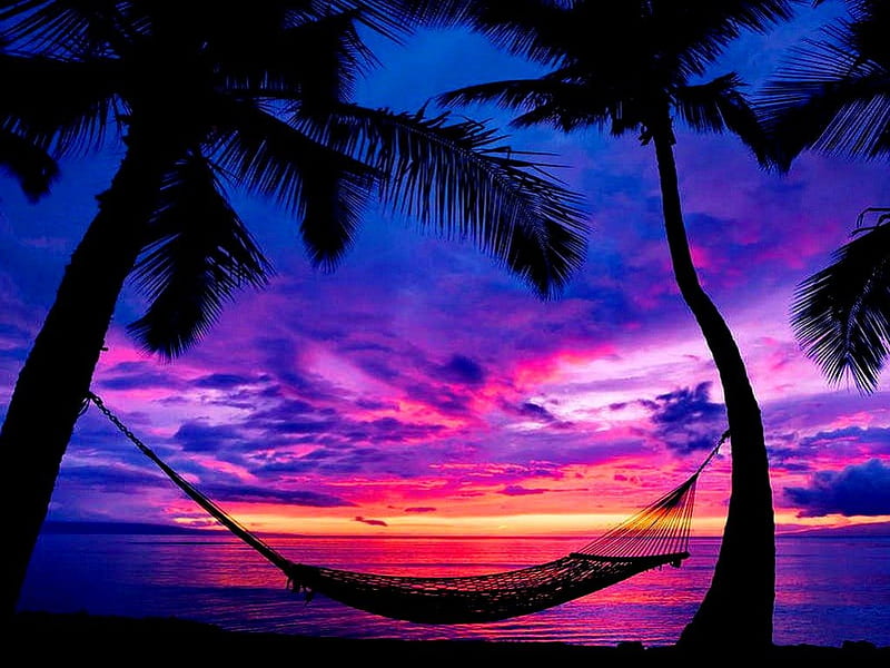 Hammock at sunset, glow, shore, dusk, bonito, sunset, twilight, hammock, clouds, sea, beach, sundown, evening, reflection, blue, night, ocean, sky, palms, water, purple, nature, palm tree, HD wallpaper