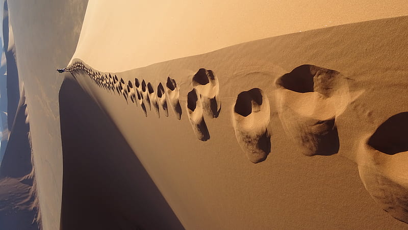 footsteps on desert, HD wallpaper