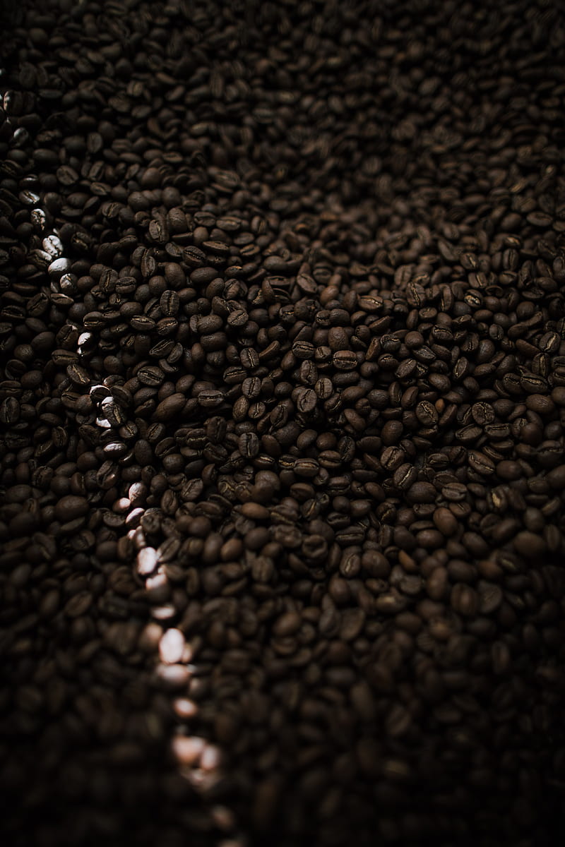 coffee beans, coffee, beam, HD phone wallpaper