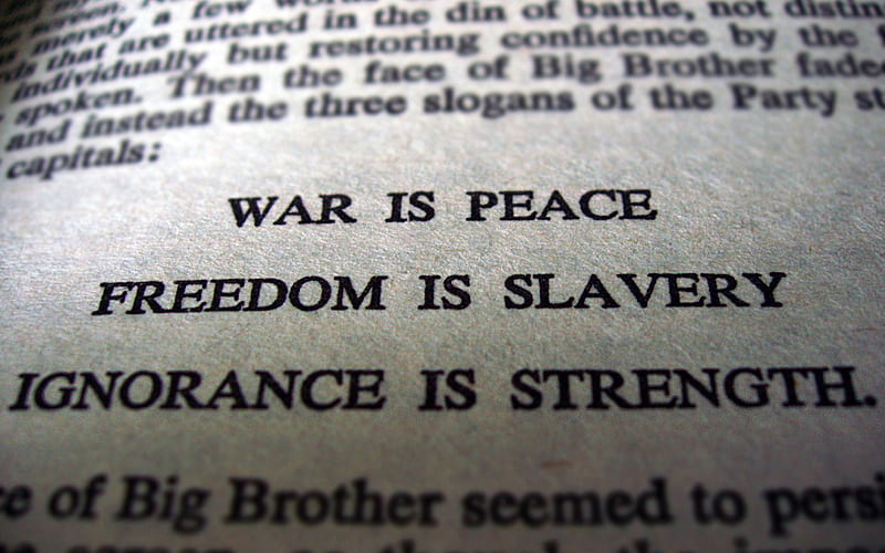 Book, 1984, Man Made, Black & White, George Orwell, Nineteen Eighty Four, HD wallpaper