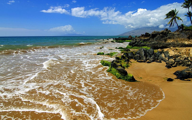 Kihei Maui, Hawaii, hawaii, ocean, waves, trees, sky, clouds, tan, tide, daylight, water, day, nature, maui, seaweed, blue, HD wallpaper