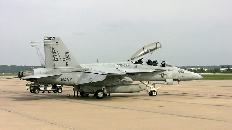 F-18 Super Hornet, Hornet, Super, Military, F-18, Plane, Navy, HD wallpaper