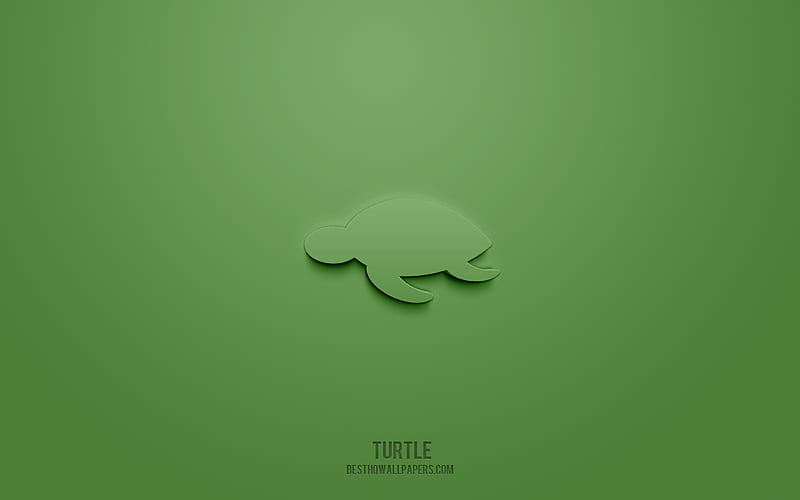 Turtle 3d icon, green background, 3d symbols, Turtle, Sea animals icons, 3d icons, Turtle sign, Sea animals 3d icons, HD wallpaper