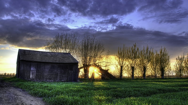 barn at sunset r, metal, grass, r, sunset, trees, field, barn, HD wallpaper