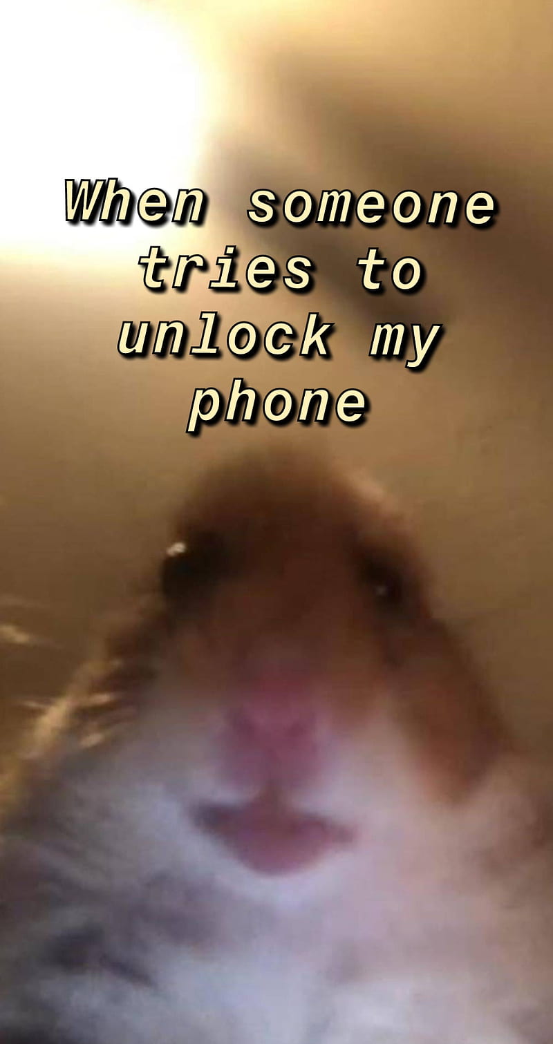Dont touch my phone, meme, mouse, HD phone wallpaper