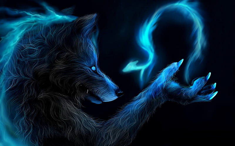 magic wolf, magic, wolf, flame, blue, HD wallpaper