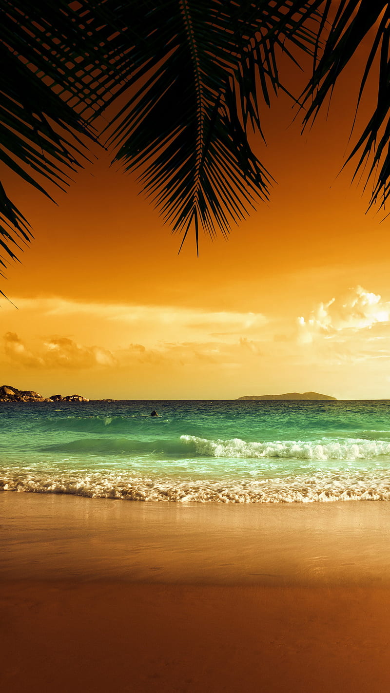 Tropical Beach, bonito, palms, sea, sunset, tropics, water, HD phone  wallpaper | Peakpx