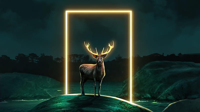 Deer Glow Door , deer, artist, artwork, digital-art, deviantart, HD wallpaper