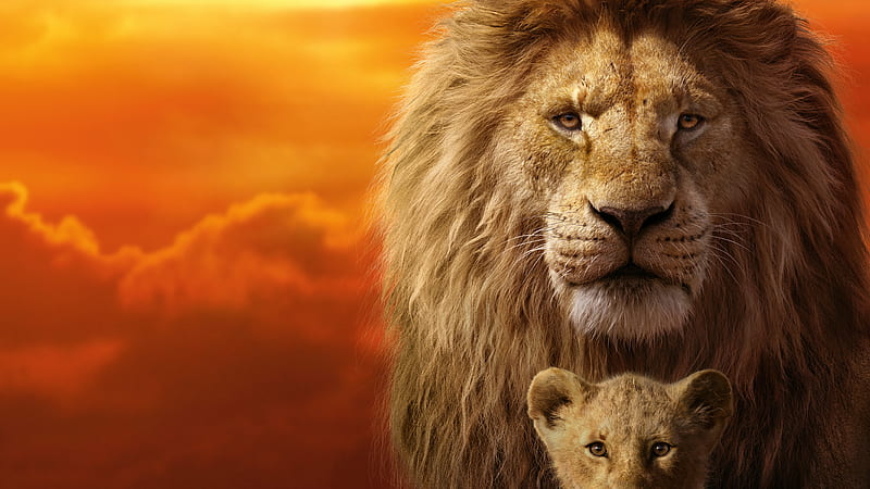 The Lion King , the-lion-king, lion, 2019-movies, movies, disney, simba, HD wallpaper