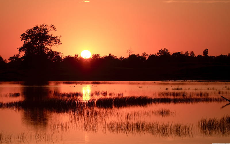 Netherlands Sunset, netherlands, sunset, reflection, lake, HD wallpaper
