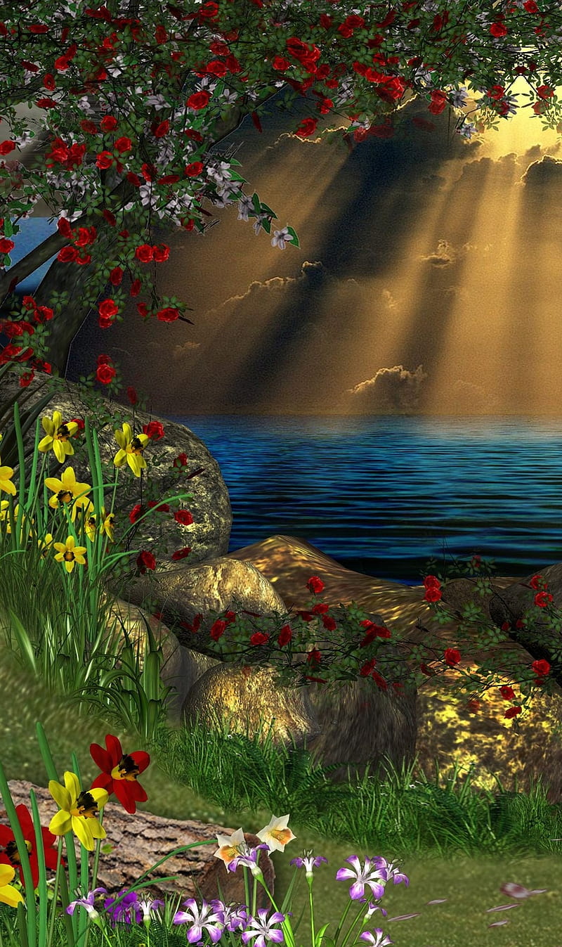 Fantasy Nature, flowers, forest, sea, stone, sunshine, HD phone ...