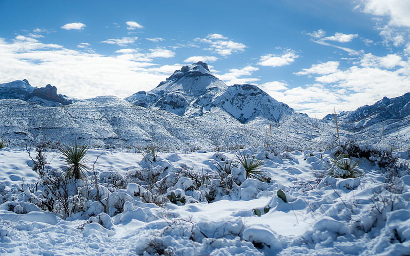 West Texas after a Rare Snow storm, landscape, mountains, usa, trees, sky, clouds, HD wallpaper