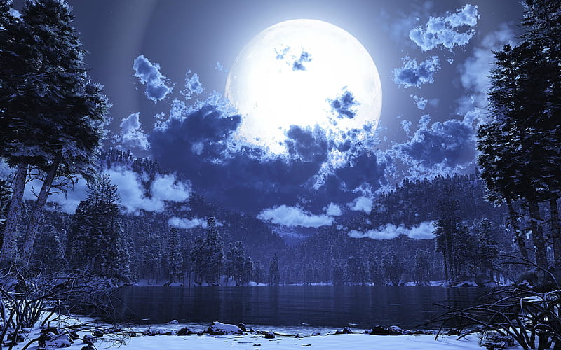 Winter Moon, rocks, trees, clouds, lake, winter, moon, snow, full moon, branches, HD wallpaper