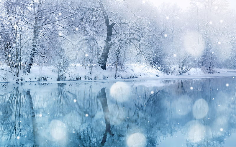 winter snowfall-the cold winter landscape, HD wallpaper