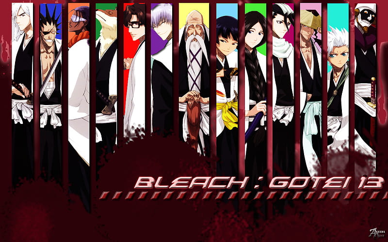 Gotei 13, bleach, anime, captain, soul reaper, HD wallpaper