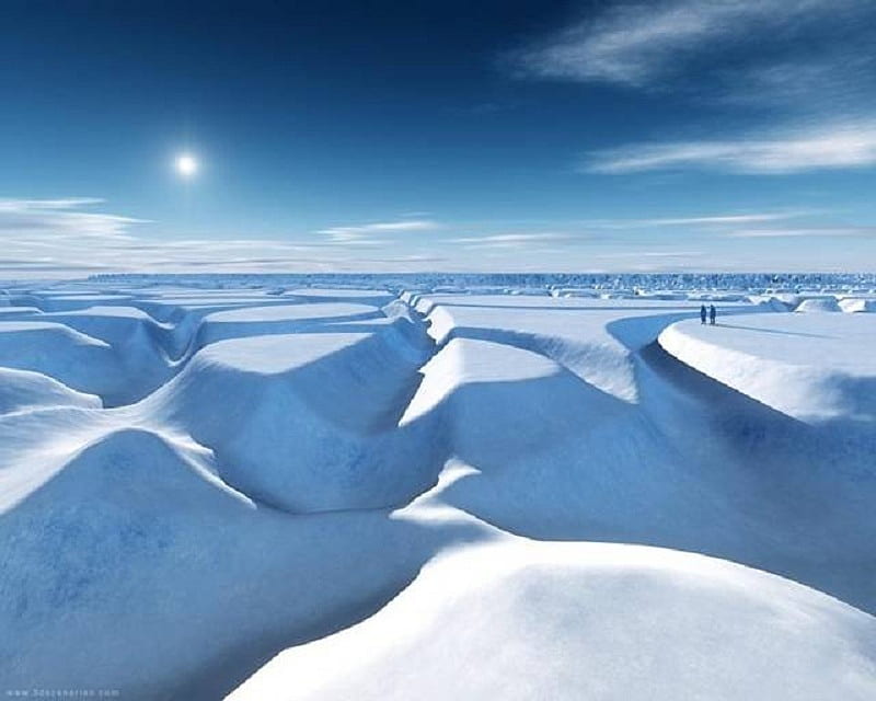 Snowfield, sun, snow, blue sky, field, winter, HD wallpaper