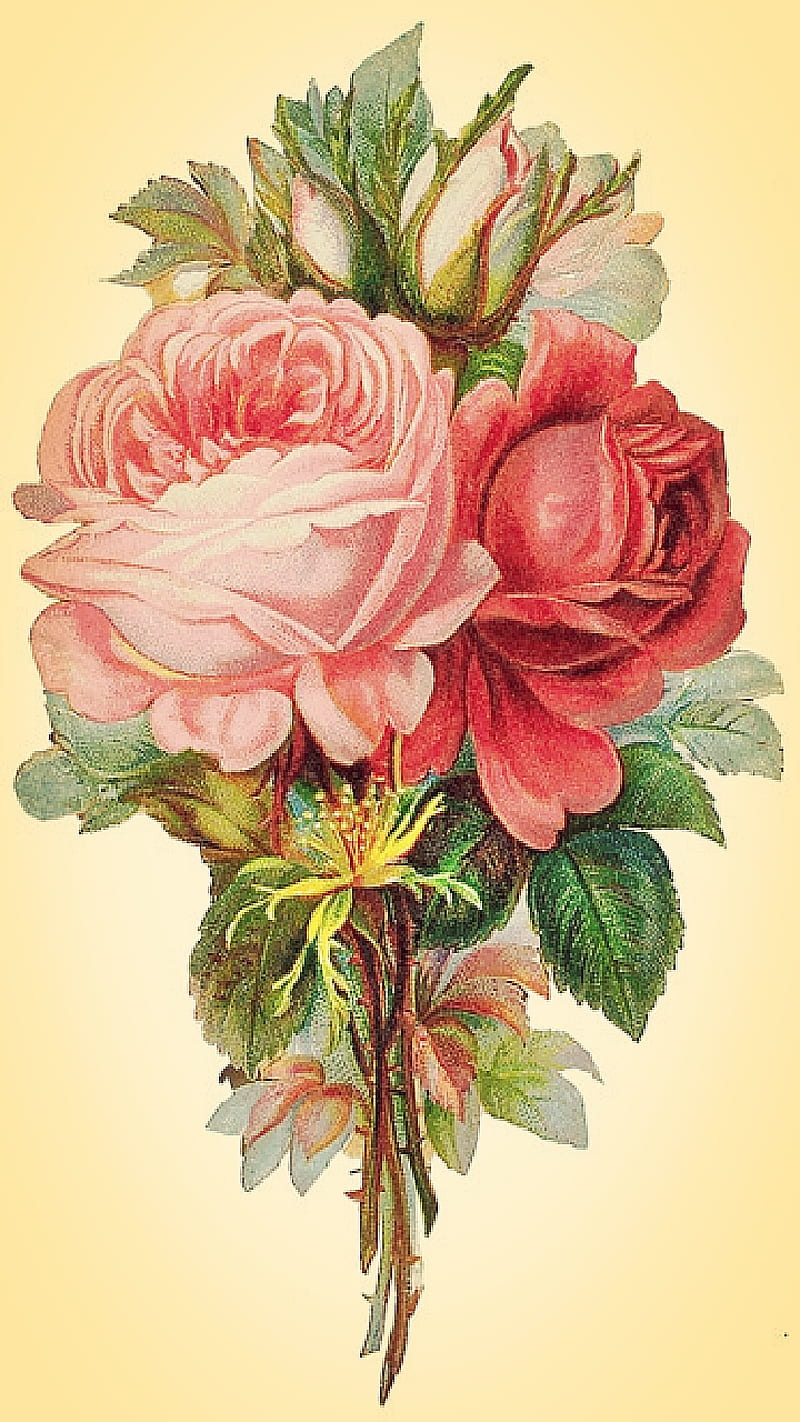 Vintage Blossoms, antique, arrangement, flowers, nature, painting, HD phone wallpaper