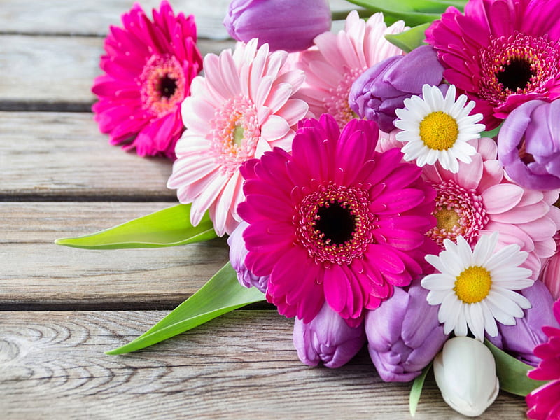 Flowers, pretty, colorful, gerberas, lovely, bonito, spring, freshness, daisies, leaves, bouquet, petals, HD wallpaper