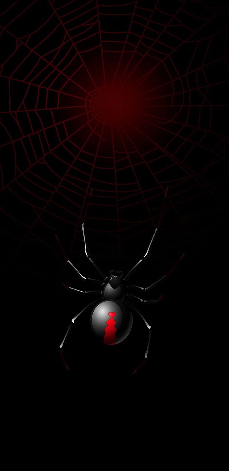Redback Spider, red, spiders, web, HD phone wallpaper