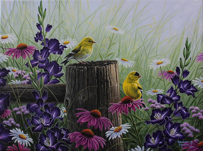 Birds and flowers, art, yellow, abraham hunter, vara, bird, purple, painting, flower, pasari, garden, summer, pictura, pink, HD wallpaper