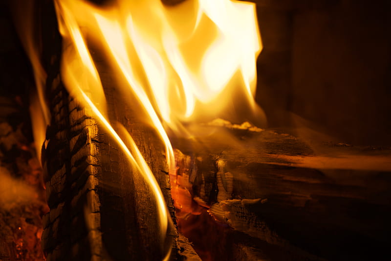 fire, firewood, burn, flame, closeup, HD wallpaper