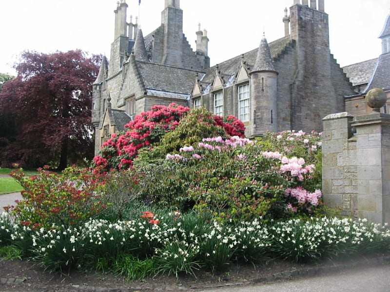 Lauriston Castle, grounds, edinburgh, castle, plants, HD wallpaper
