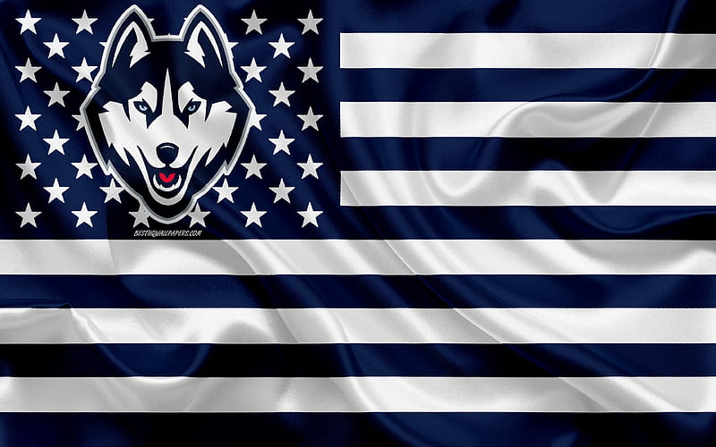 UConn Huskies, American football team, creative American flag, blue and white flag, NCAA, Storrs, Connecticut, USA, UConn Huskies logo, emblem, silk flag, American football, HD wallpaper