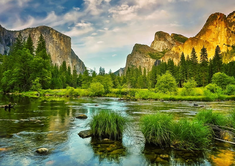 Yosemite Summer, water, river, trees, clouds, sky, valley, HD wallpaper