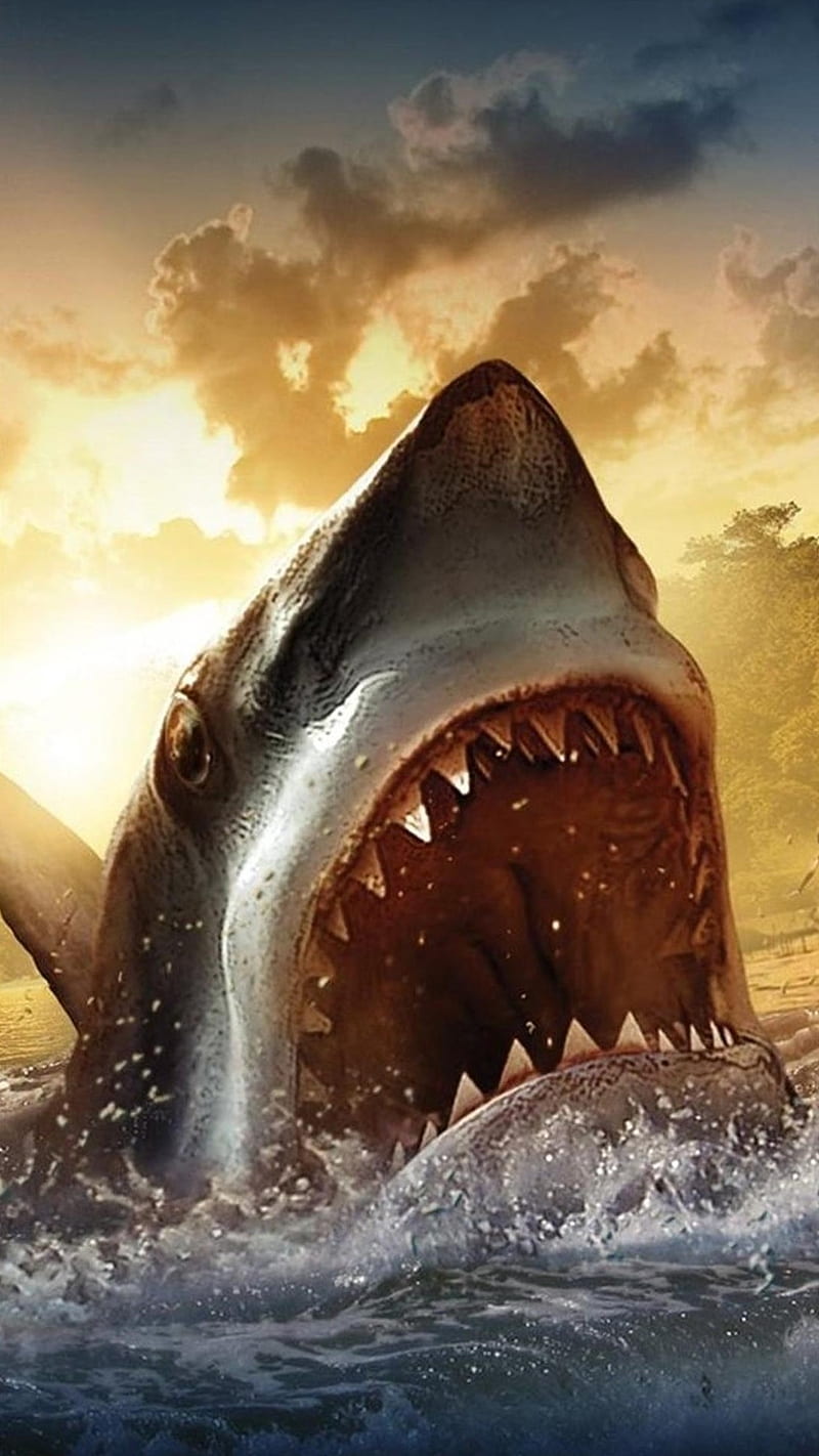 Angry shark, sea, teeth, greatwhite, HD phone wallpaper