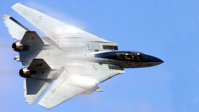F-14 ShamROCK Special , wing tip condensation, f-14, ge f110, 1080i, afterburner Entropy 1920 x 1080, tomcat, HD wallpaper