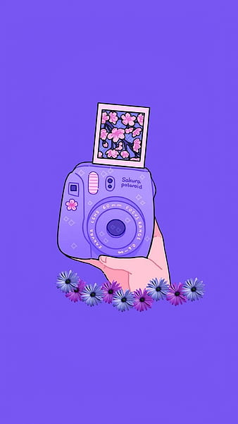 Cute Camera Co.