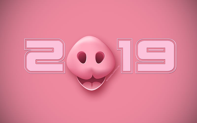 2019 pig background, Happy New Year 2019, pink creative 2019 background, Chinese horoscope, 2019 concepts, 2019 year, pig, creative 2019 art, HD wallpaper