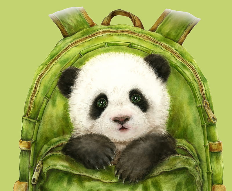 Panda cub, panda, cute, art, fantasy, luminos, green, bear, paw, HD wallpaper